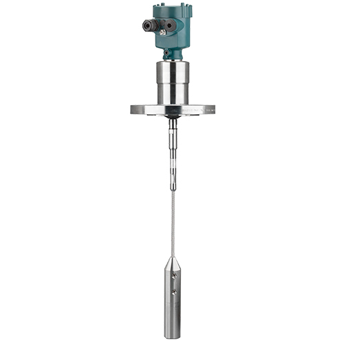 導(dǎo)波雷達液位計FLEX80Y系列-FLEX 82Y.jpg